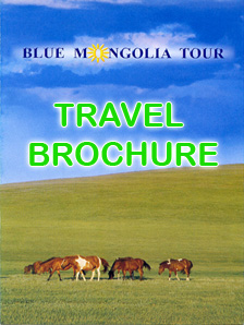 travel brochure