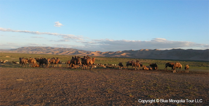 Active Adventure Safari Tour Active Vacation in Mongolia Image 01