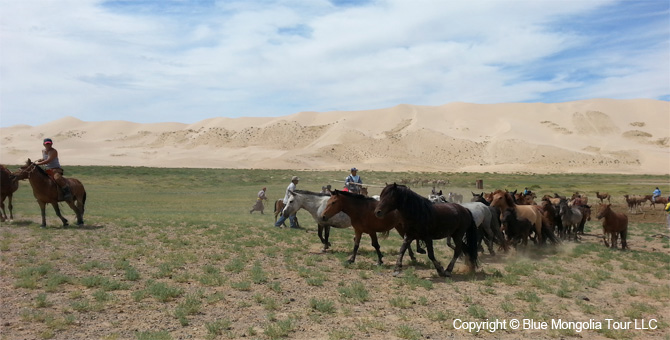 Mongolia Discovery Tours Mongolia Classic Tour Image 3