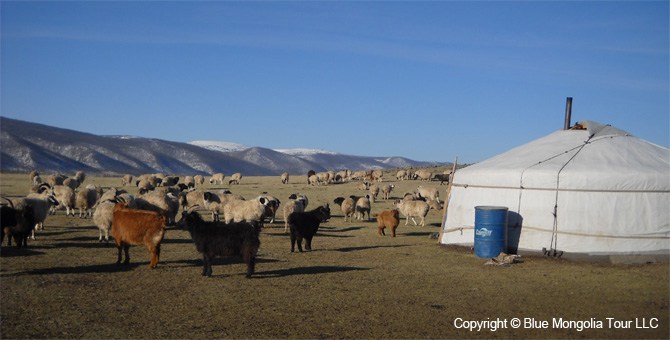 Mongolia Discovery Tours Mongolian Nomads Travel Image 2
