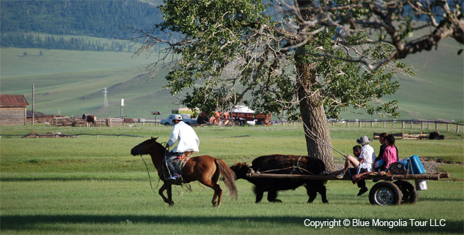 Mongolia Discovery Travel Mongolia Discovery Tour Image 6