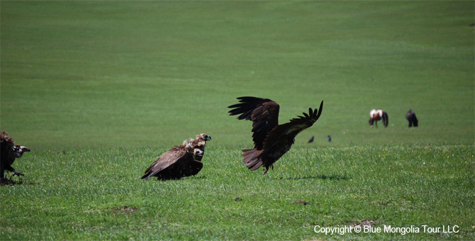 Mongolia Discovery Travel Mongolia Discovery Tour Image 7