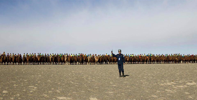 Tour Festival Enjoy Camel Festival Travel Image 2