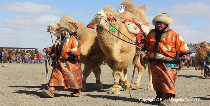 Tour Festival Enjoy Camel Festival Travel Image 4