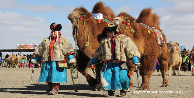 Tour Festival Enjoy Camel Festival Travel Image 5