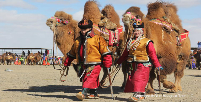 Tour Festival Enjoy Camel Festival Travel Image 6