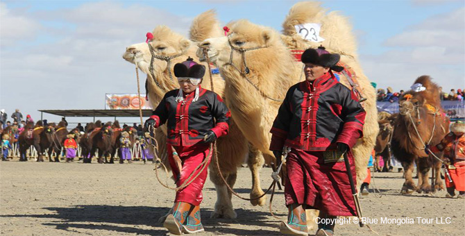 Tour Festival Enjoy Camel Festival Travel Image 7