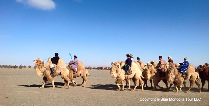 Tour Festival Enjoy Camel Festival Travel Image 8