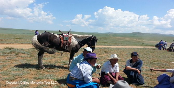 Tour Festival Enjoy Tour Horses Festival Travel Image 01