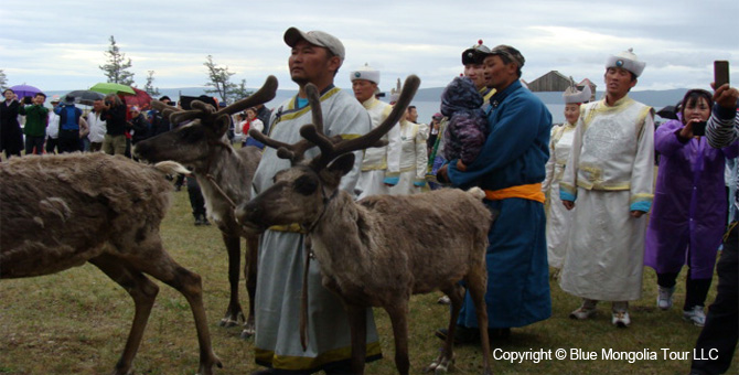 Tour Festival Enjoy Tour Reindeer Festival Travel Image 01