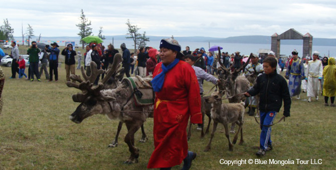 Tour Festival Enjoy Tour Reindeer Festival Travel Image 2