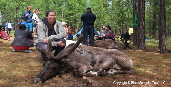 Tour Festival Enjoy Tour Reindeer Festival Travel Image 7