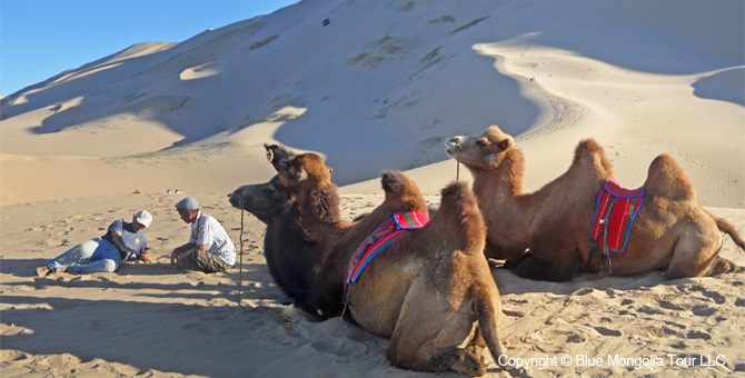 Tour Homestay Mongolia Tour Homestay Camel Breeder Family Image 12