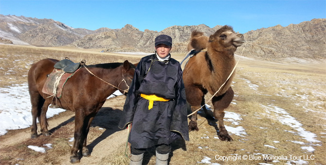 Tour Homestay Mongolia Tour Homestay Camel Breeder Family Image 6