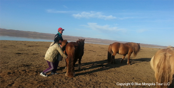 Tour Homestay Mongolia Tour Homestay Horse Breeder Family Image 11