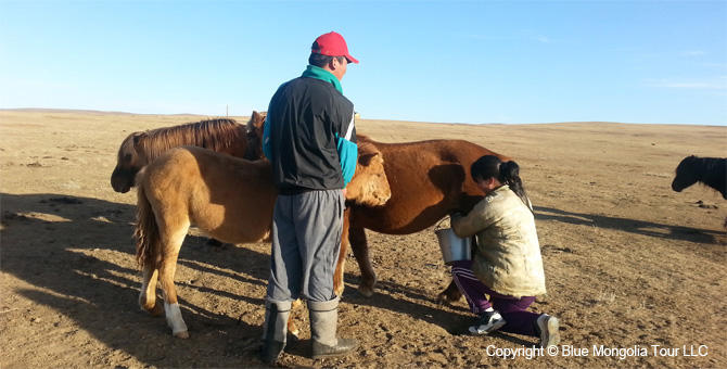Tour Homestay Mongolia Tour Homestay Horse Breeder Family Image 7
