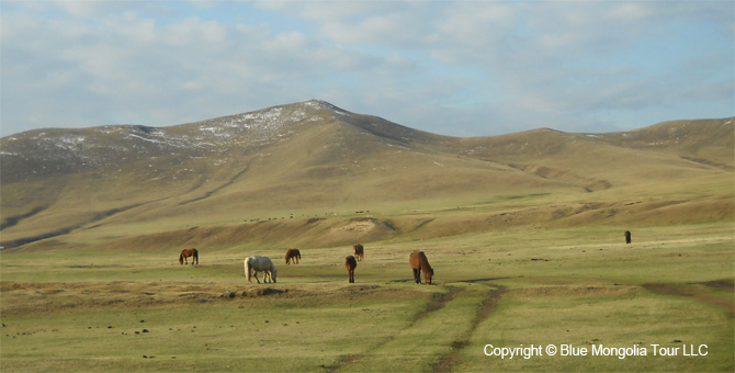 Tour Nature Outdoor Camp Tours All Around Mongolia Image 16