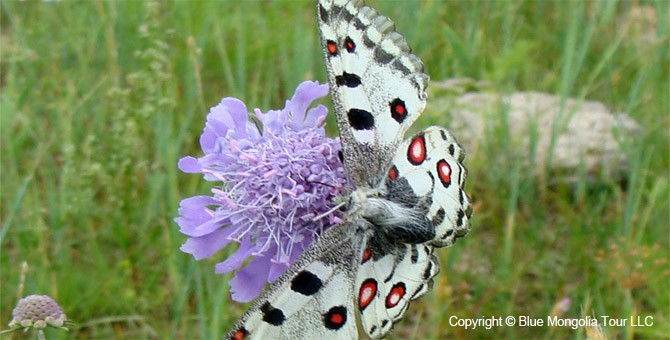 Tour Nature Outdoor Camp Tours Nature Exploring Eco Tour Image 20