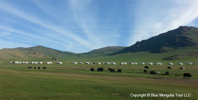 Tour Nature Outdoor Camp Tours Sacred Wild Paces of Mongolia Image 17