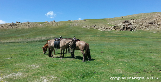 Tour Riding Active Travel Horse Riding In Historical Places Image 7