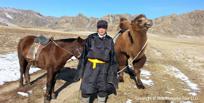 Tour Short Day Tour Day Tour for Camel Riding Image 5