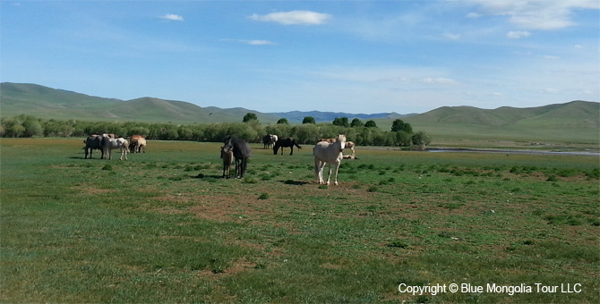 Tour Short Day Tour Khara Khorum Express Image 01