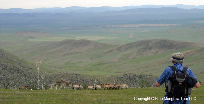 Tour Short Day Tour Wild Horses National Park Image 2