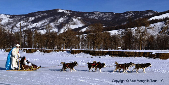 Tour Winter Tour Dog Sledding Travel Image 01