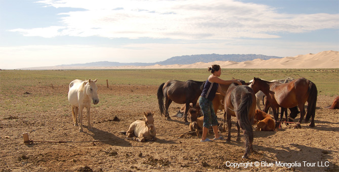 Active Adventure Safari Tour Mongolian Miracle Adventure Image 24