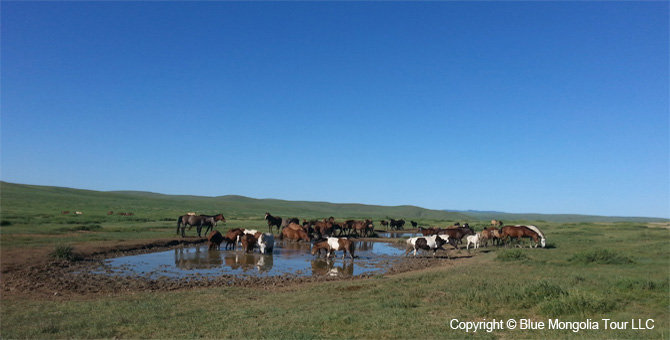 Mongolia Discovery Tours Mongolian Nomads Tour Image 01