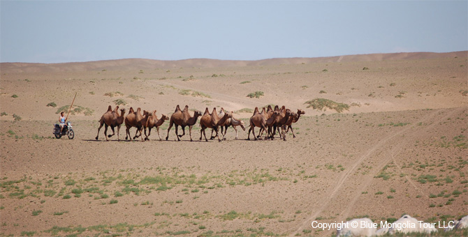 Mongolia Discovery Travel Mongolian Gobi Discovery Tour Image 6