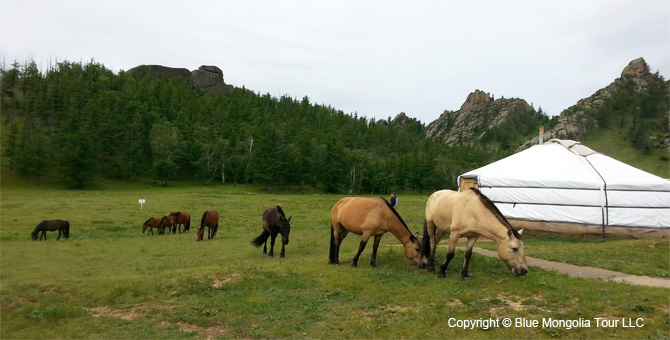 Tour Cultural Religion Tour Mongolian Culture Travel Image 2