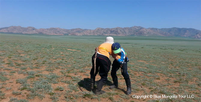 Tour Festival Enjoy Tour Mongolian Naadam Festival Travel Image 15