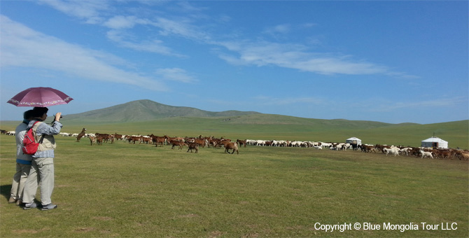 Tour Festival Enjoy Tour Mongolian Naadam Festival Travel Image 26