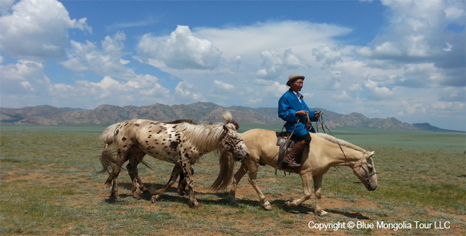 Tour Festival Enjoy Tour Naadam Games Nomads Holiday Image 01