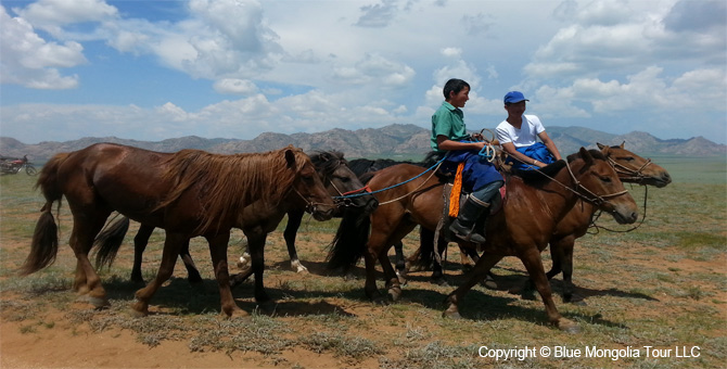 Tour Festival Enjoy Tour Naadam Games Nomads Holiday Image 