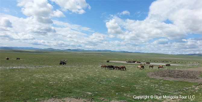 Tour Nature Outdoor Camp Tours Wildlife Observing Travel Image 17