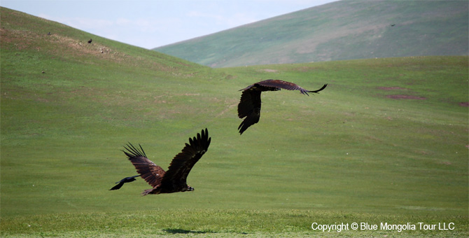 Tour Nature Outdoor Camp Tours Wildlife Observing Travel Image 5