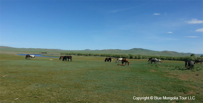 Tour Nature Outdoor Camp Tours Wildlife Observing Travel Image 8