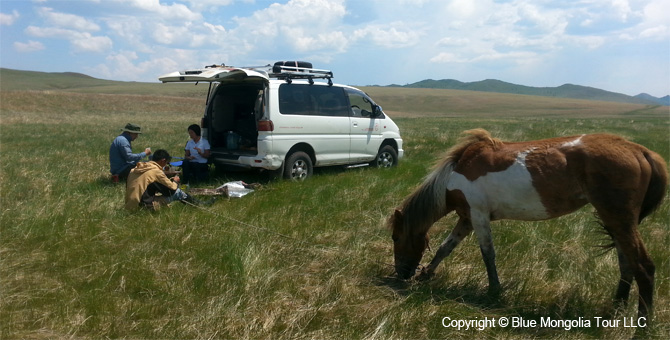 Tour Nature Outdoor Camp Tours Wildlife Observing Travel Image 9